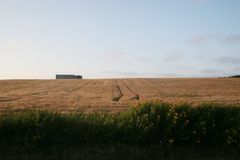 Kirche im Feld