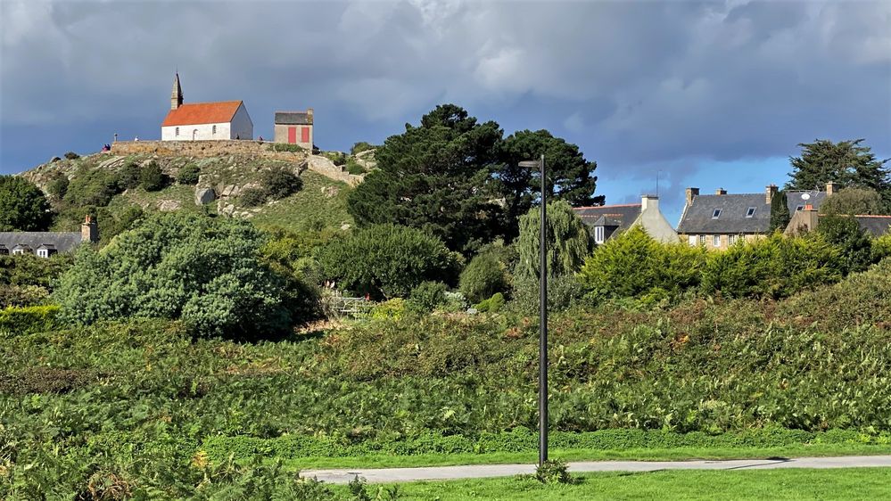 Kirche im Pflanzenmeer