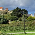 Kirche im Pflanzenmeer