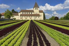 Kirche im Salat