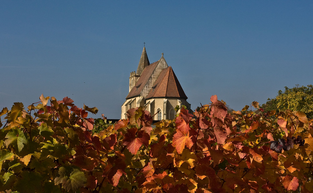 KIRCHE IM WEINBERG