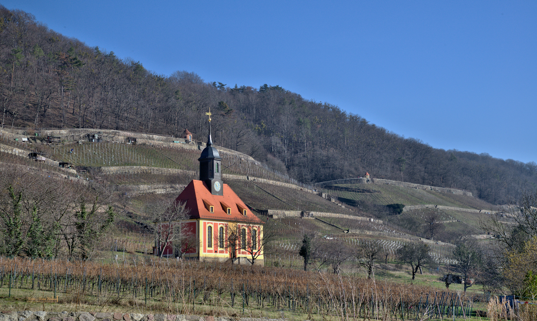 Kirche im Weinberg