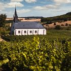 Kirche in den Weinbergen