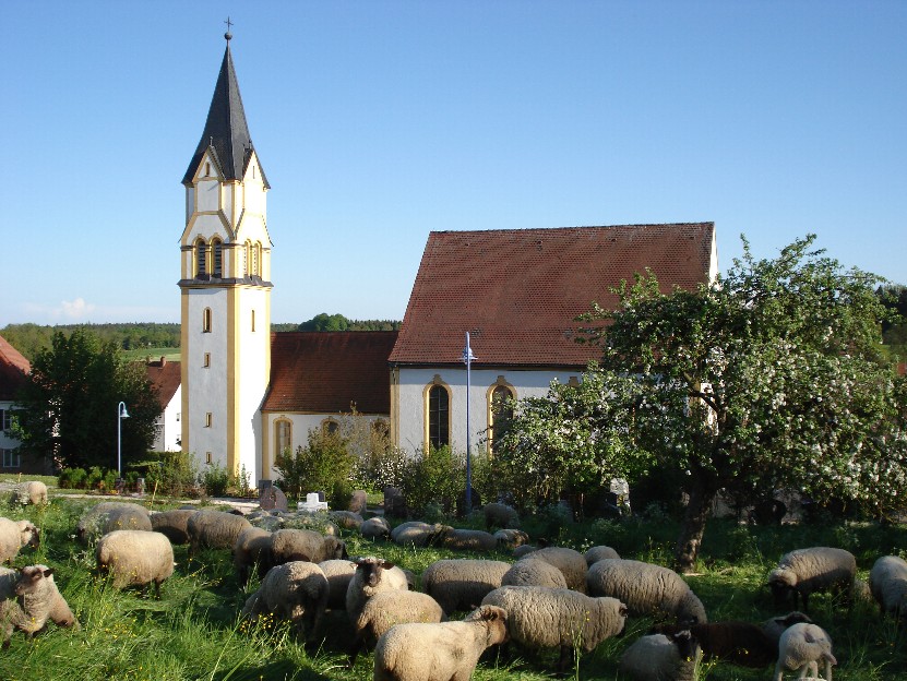 Kirche in Oberschwaben II