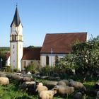Kirche in Oberschwaben II