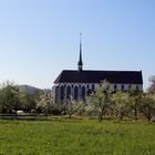 Kirche Königsfelden