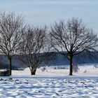 "Kirche & Landschaftsimpressionen rund um Altsteußlingen"