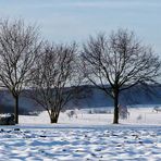 "Kirche & Landschaftsimpressionen rund um Altsteußlingen"