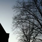 Kirche mit Baum im Gegenlicht