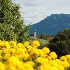 Kirche mit gelben Blumen