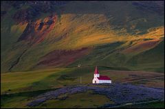 kirche mit lupinen