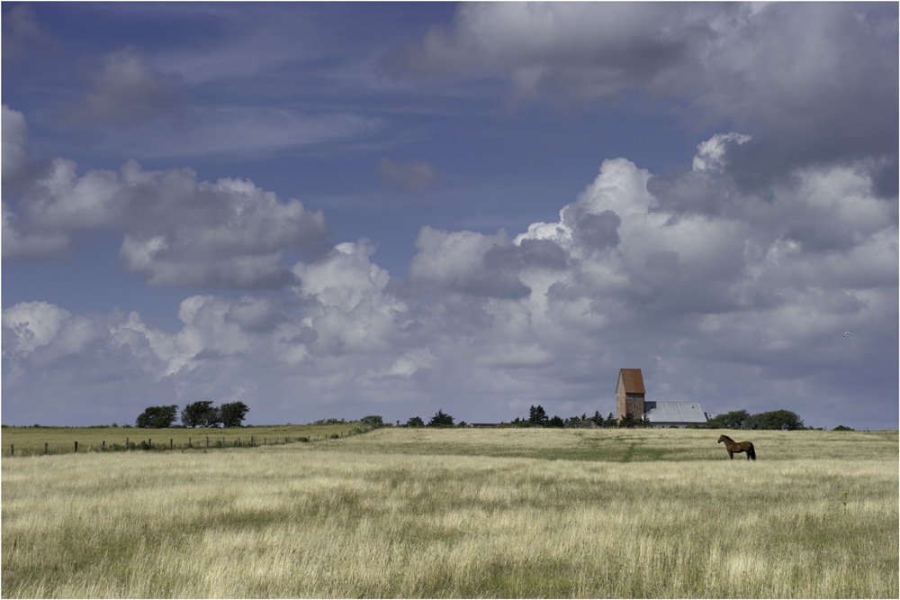 Kirche mit Pferd