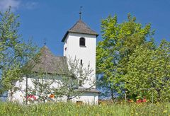 Kirche mit Tulpen