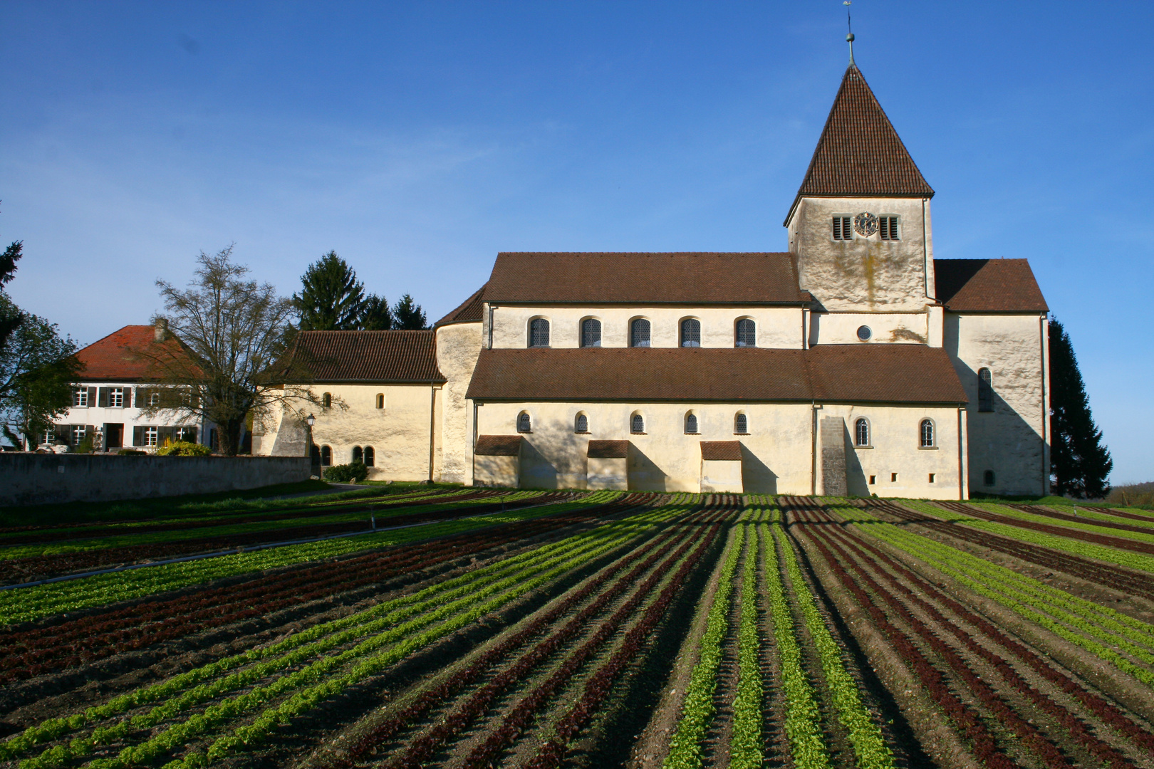 Kirche St. Georg in Reichenau-Oberzell