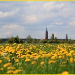 Kirche St. Marien zu Kemberg