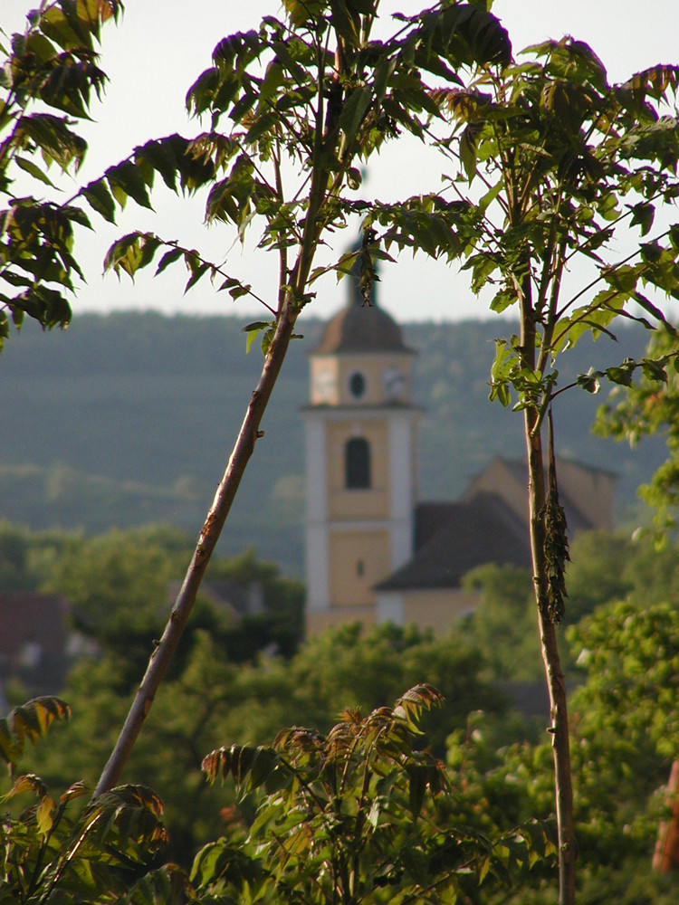 Kirche Straß im Straßertal