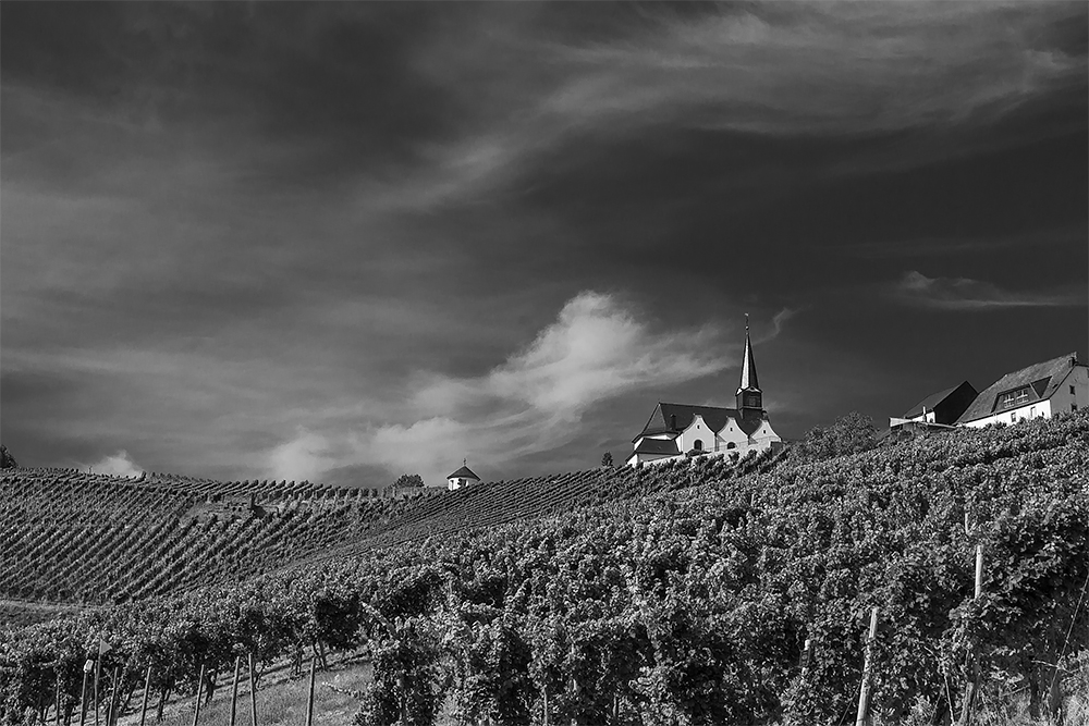 Kirche über den Weinbergen
