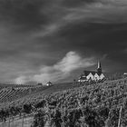 Kirche über den Weinbergen