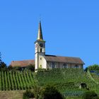 Kirche über Rebberg