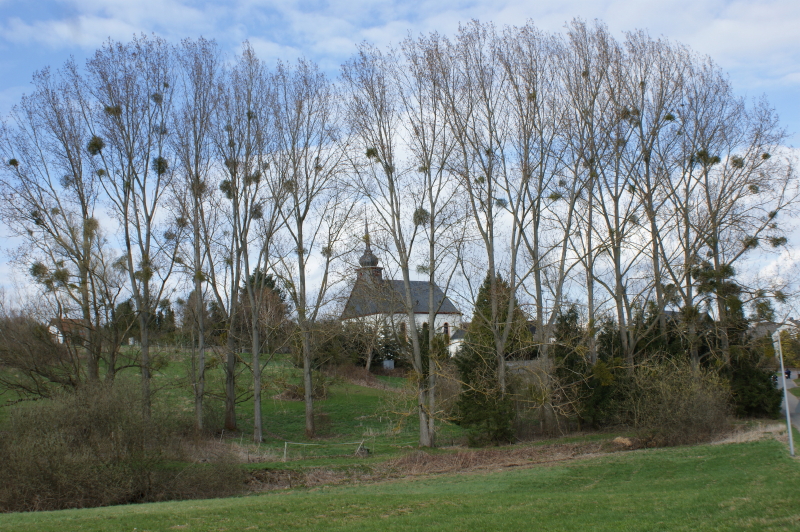 Kirche und Bäume in Prath