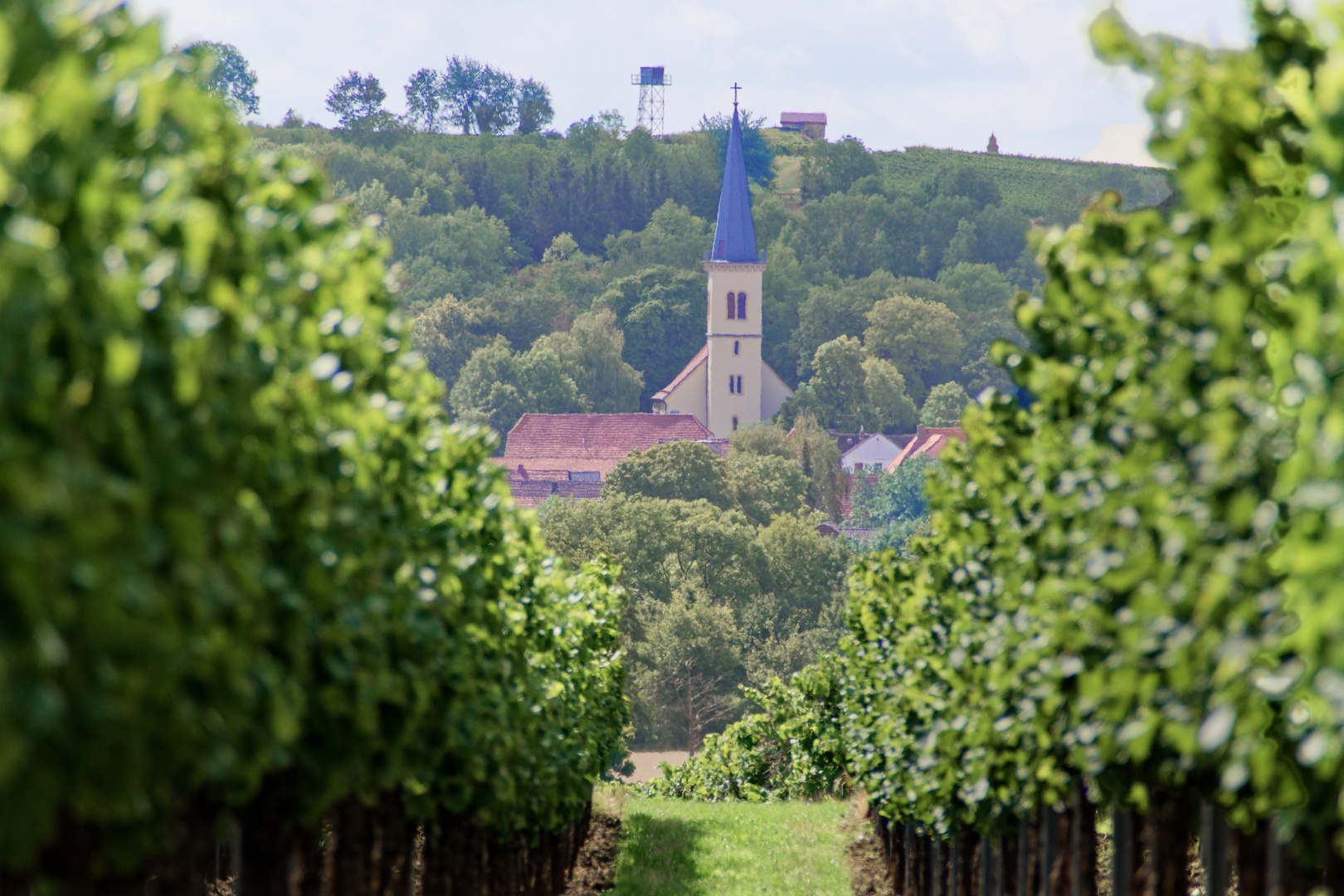 Kirche und Wein 