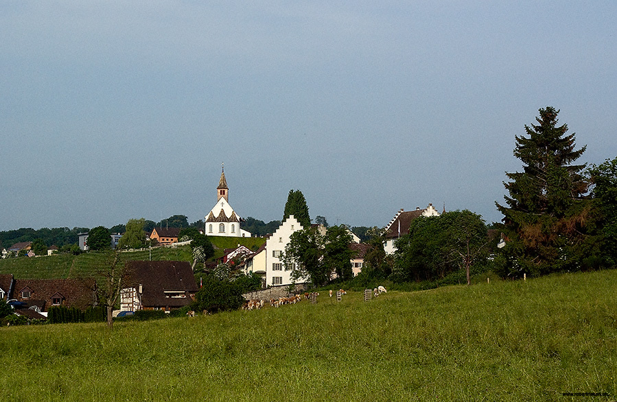 Kirche von Rheinau