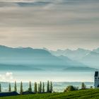 Kirche von Römerswil im Hintergrund die Rigi