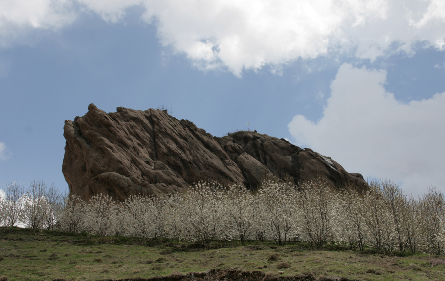 Kirchenbäume blühen, Der Berg von Alamut Festung