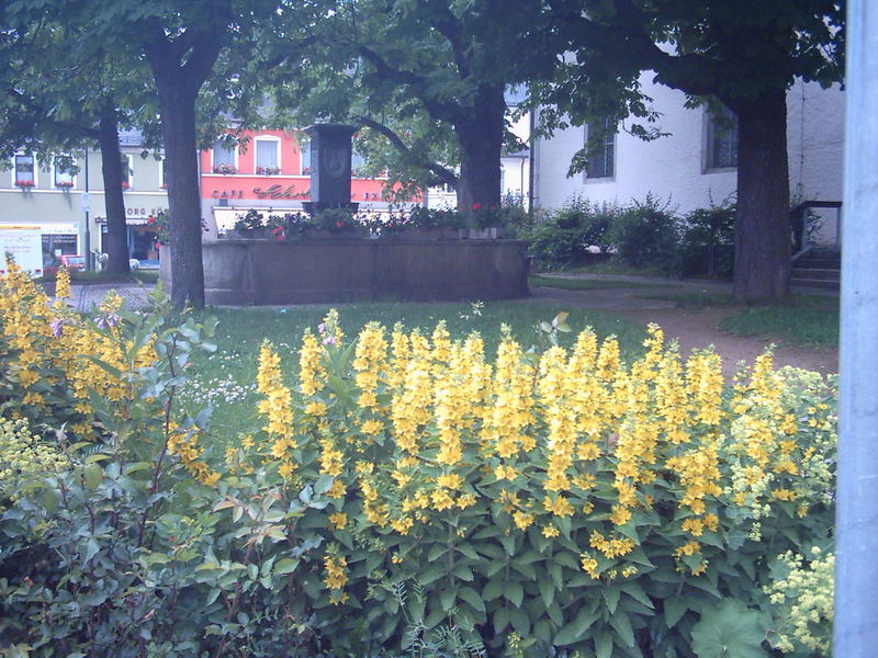 Kirchenbrunnen in Marktleuthen