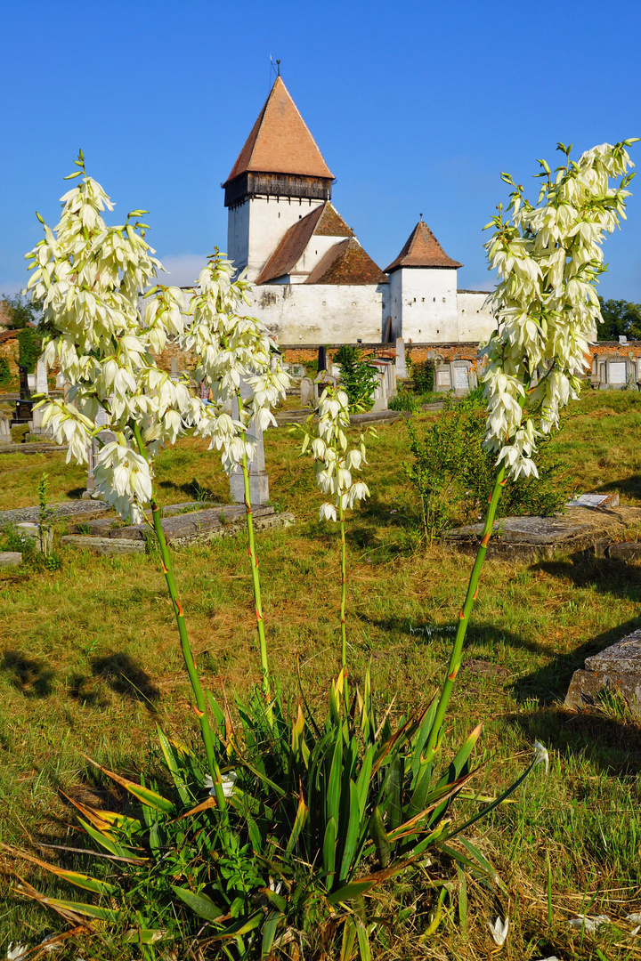 Kirchenburg von Holzmengen im schönen Harbachtal