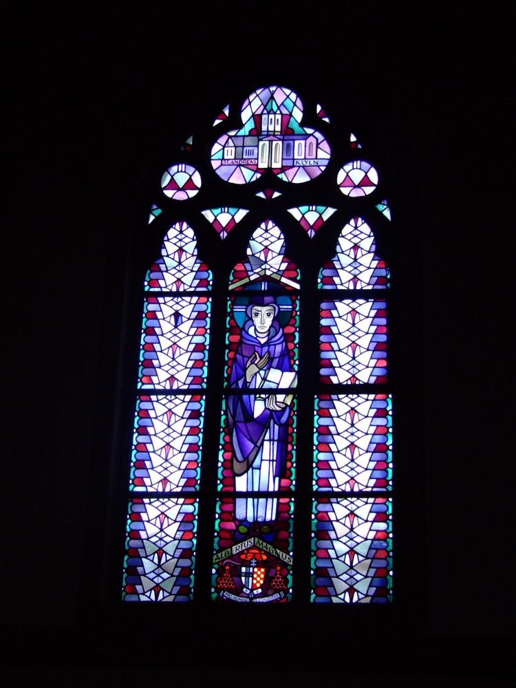 Kirchenfenster  Albertus  Magnus