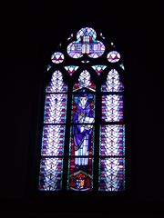 Kirchenfenster  Albertus  Magnus
