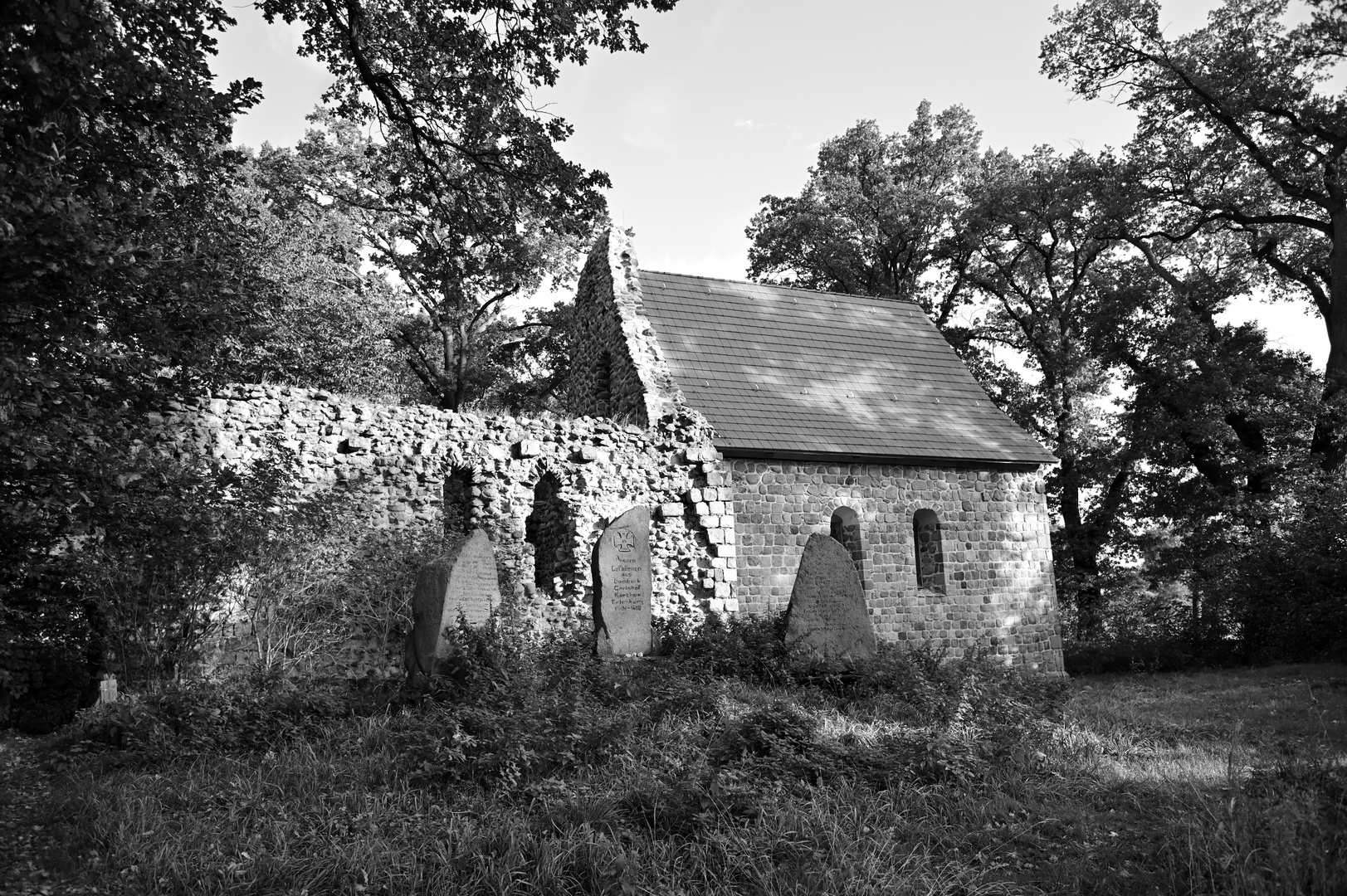 Kirchenruine Dambeck (2)