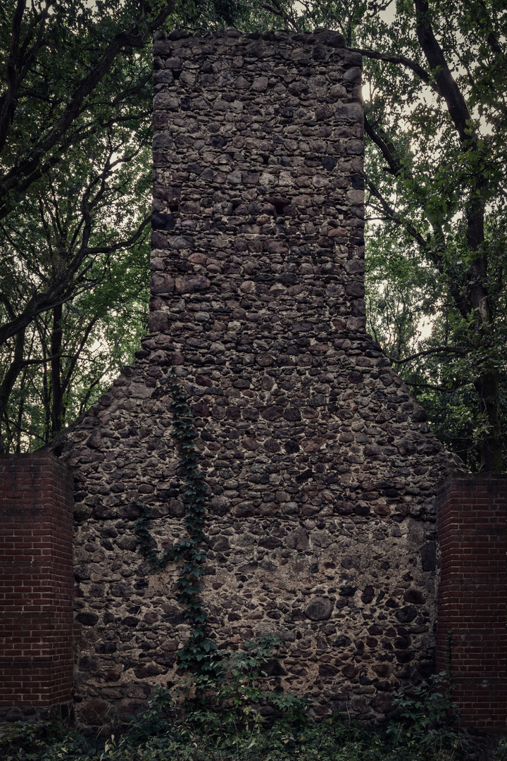 Kirchenruine der Wüstung Dangelsdorf (Westwand)