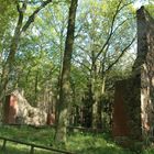 Kirchenruine in der Nähe von Berlin