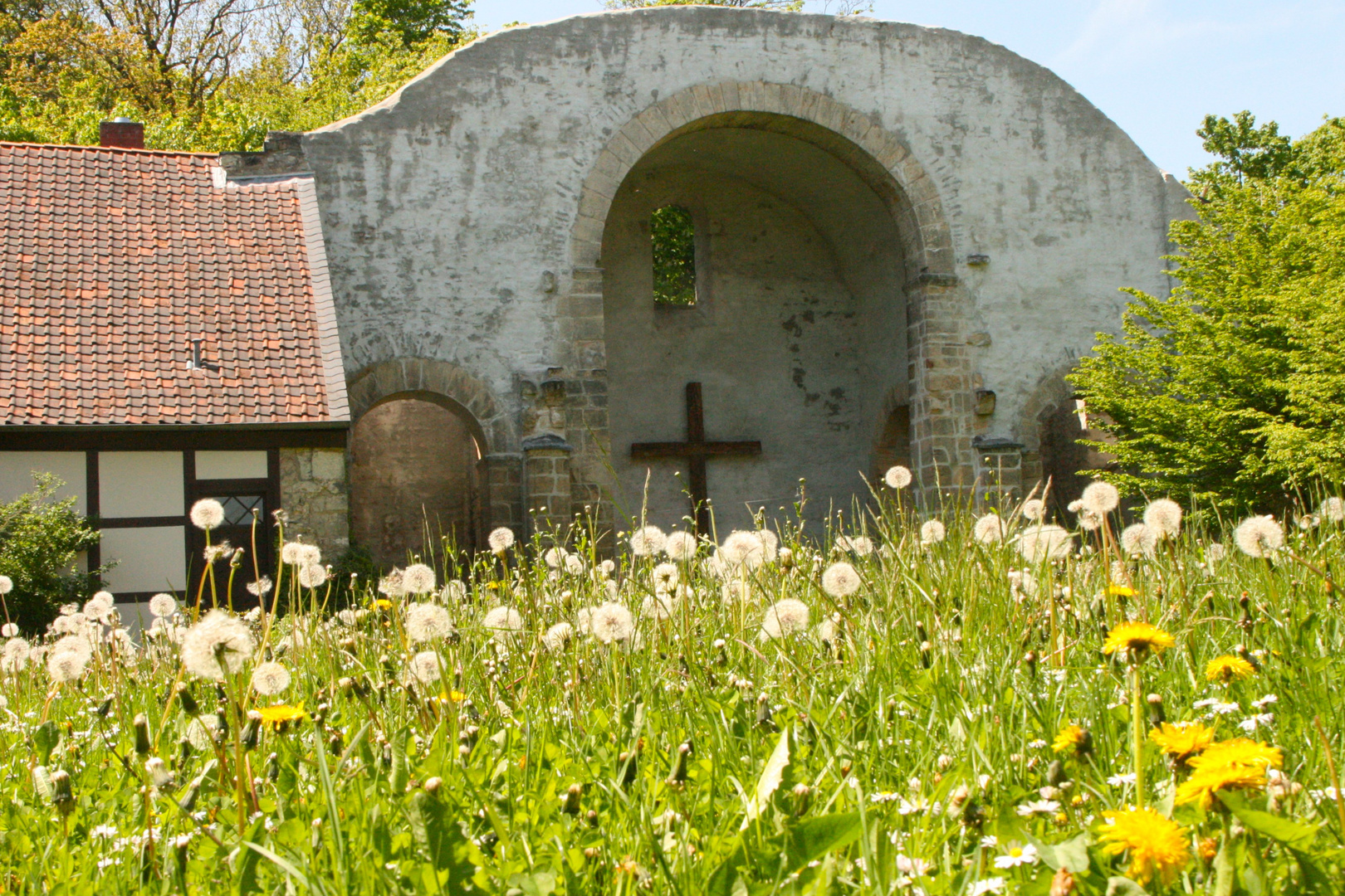 Kirchenruine Kloster Riechenberg