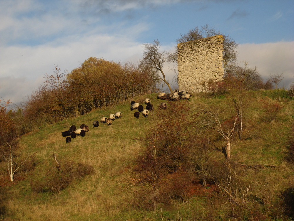 Kirchenruine Möttlingerode