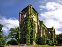 Kirchenruine Wachau bei Leipzig 3