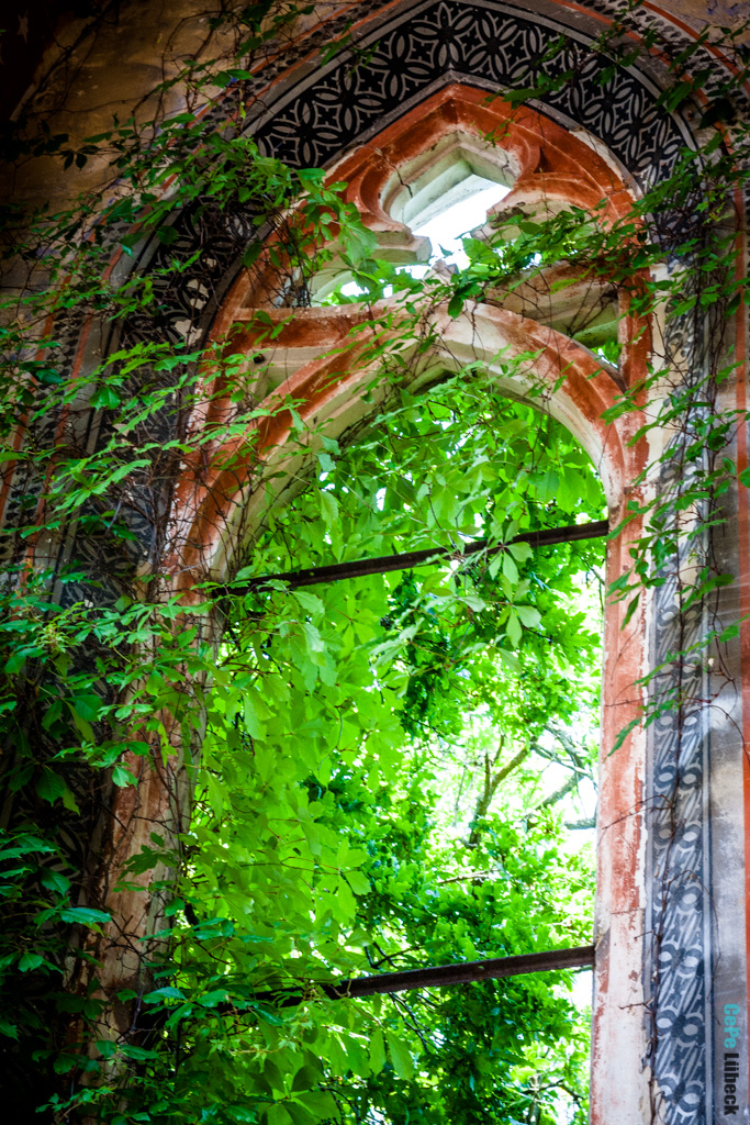 Kirchenruine Wachau III