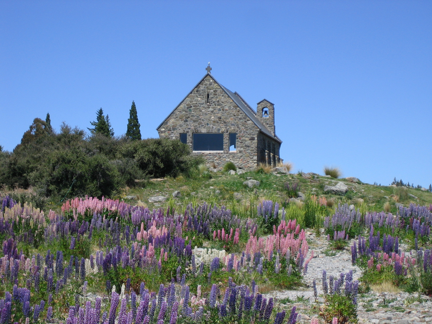 Kircherl am Lake Tekapo NZL