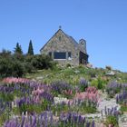 Kircherl am Lake Tekapo NZL