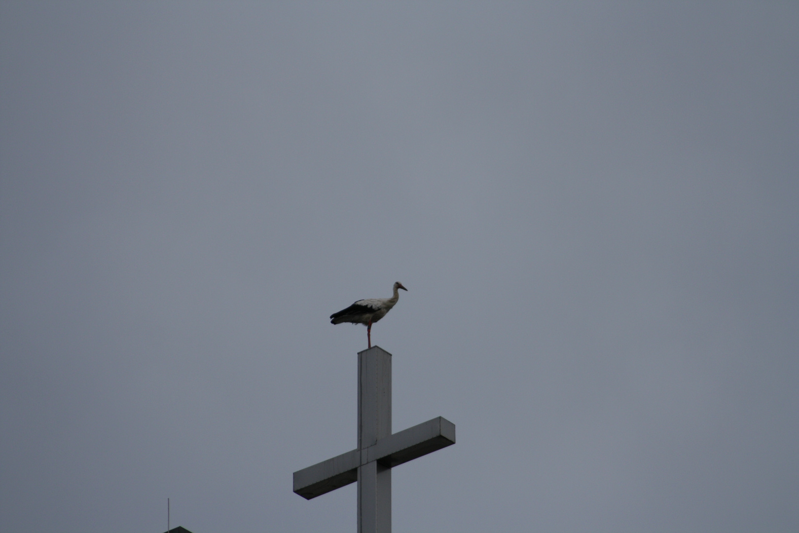 Kirche&Storch