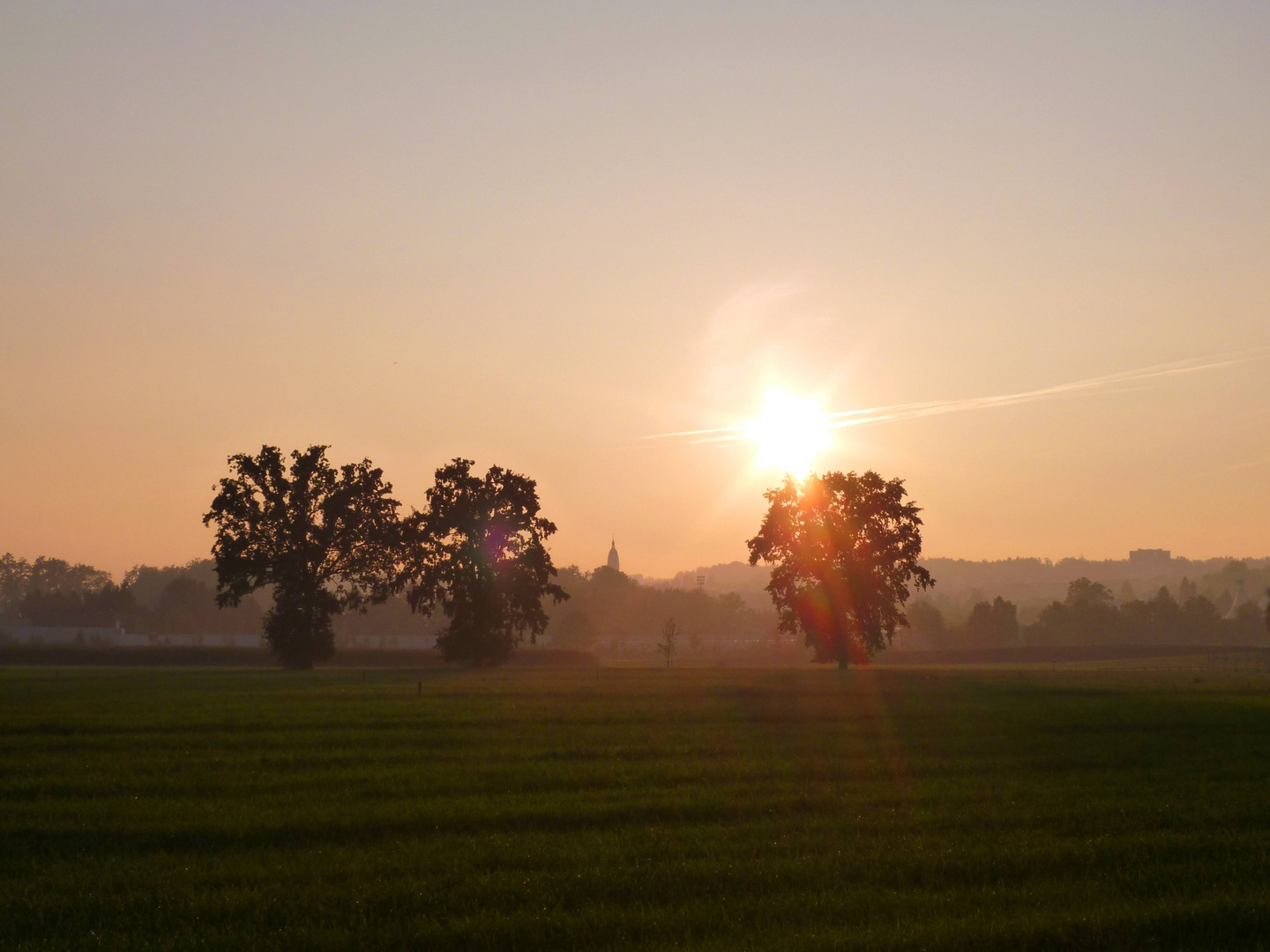 Kirchfeldwiese in Emmen ...