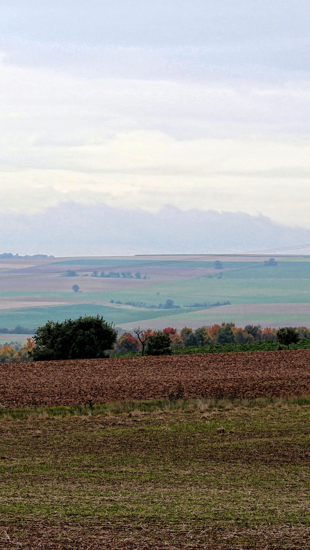 Kirchheimbolanden