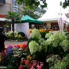 „Kirchhellener kulinarische Landpartie“ auf dem Johann-Breuker-Platz / 7. bis 9. August 2015