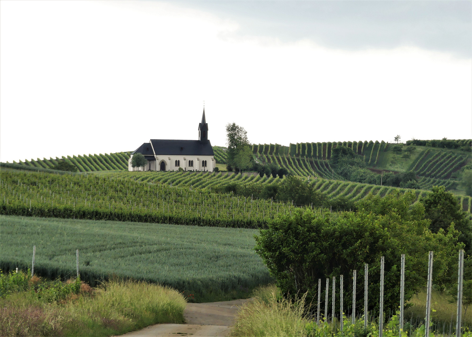 Kirchlein im Weinberg