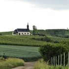 Kirchlein im Weinberg