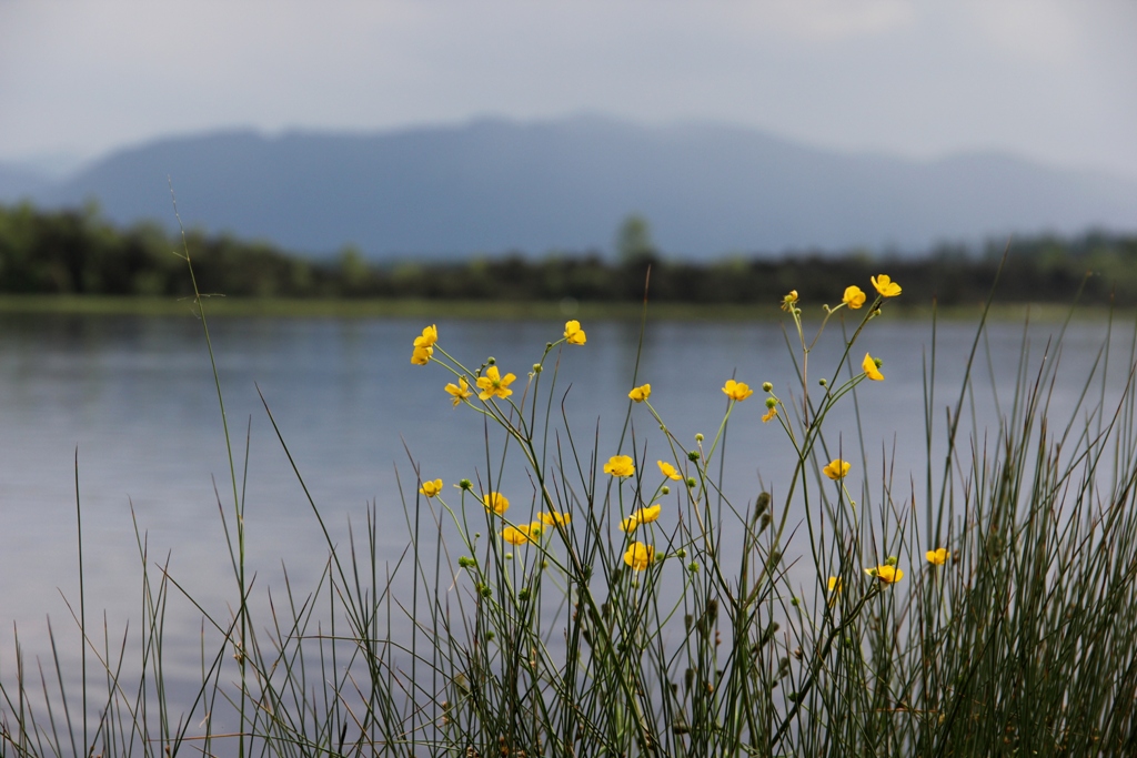 Kirchsee