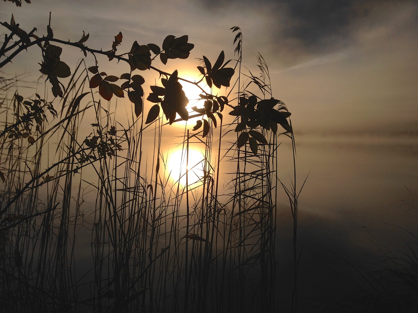 Kirchsee Nebelreflektion