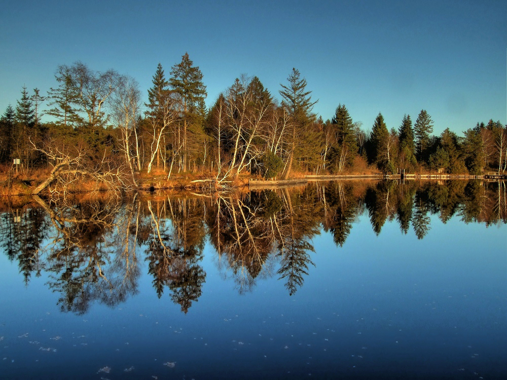 Kirchsee / Oberbayern